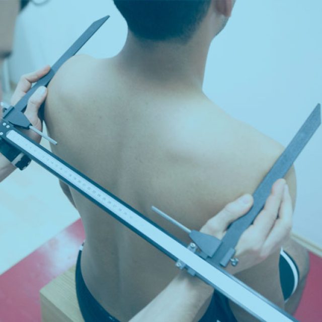 Nutrición deportiva